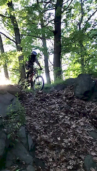 vanny horse trail wall