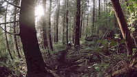Root Chute mini edit