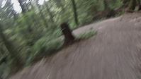 Mount Seymour - Baden Powell Pipeline Crossing