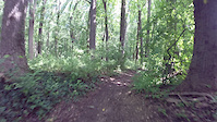 Saturday morning at Patapsco
