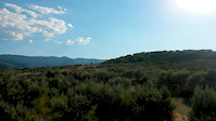 Trailside jumps