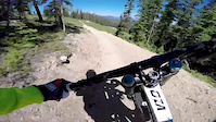 Trestle - Cruel and Unusual Gap Jump
