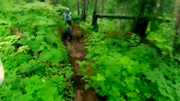 Adams Otway