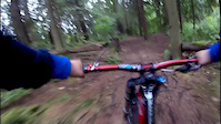 Jims Jungle Trail, July 22, 2017