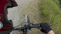 White Tail Descent, Fundy, NB July 2017