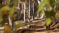 Momentum Series - Nevados de Chillan