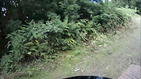 Back to the downhill bike