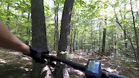 Swamp trail