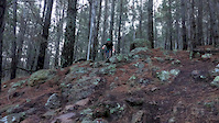 Rock garden on Touching Cloth, Majura Pines