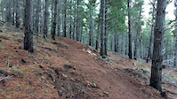 New berm & jump, Touching Cloth, Majura Pines