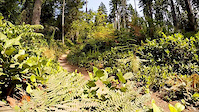 360 Park - Gig Harbor, WA