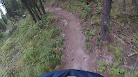 SingleTracktoBeaverLake