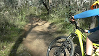 Home Run, Nailcan Hill Albury
