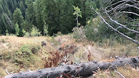 Ravine gap