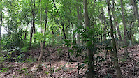 Drop-off Trail 15