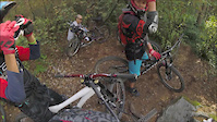 shred the shed