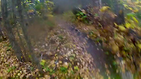 Kitchen Sink October 8th 2017