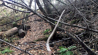 GoPro: Red Carpet and Pineapple Express trails...