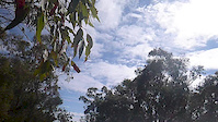 beut' day beut' trail