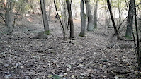 Atumn short edit