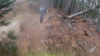 Ditch Pig October 22 2017