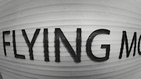 Flying Monkey from the Bottom of my Pedal