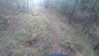 Voynegovtsi