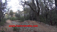 'Enticer' is a must DH MTB trail