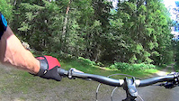 Fåren Jublar Part I