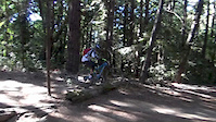 Soquel Demonstration Forrest