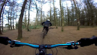 Trail