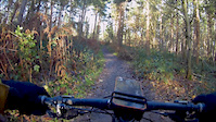 Flying Wood Descent