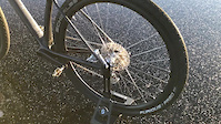 Worlds lightest 29' Hardtail