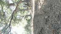 Devil's Canyon