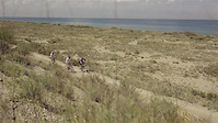 Bokombaevo Bike Trails