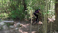 Godzilla Trail Entrance Filter