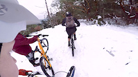 Snakes and Ladders | Vancouver Island MTB