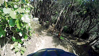 Nikau Valley to Aratihi Connector
