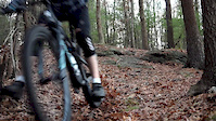 Shredding Lynn Woods