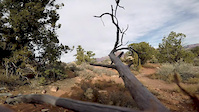 Gooffy video from Undisclosed Trail