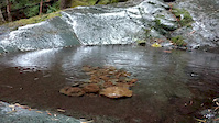 VOTR Siouxon Creek