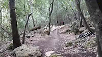 trail video
