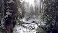 Perseverance Creek Snow Ride