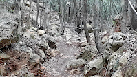 trail