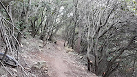 trail