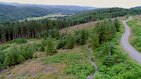 Grizedale short edit