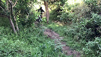 Fat bails and illegal trails