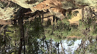 Different angle of rock garden from other video