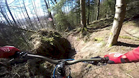 Monday Trails