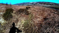 Criosote